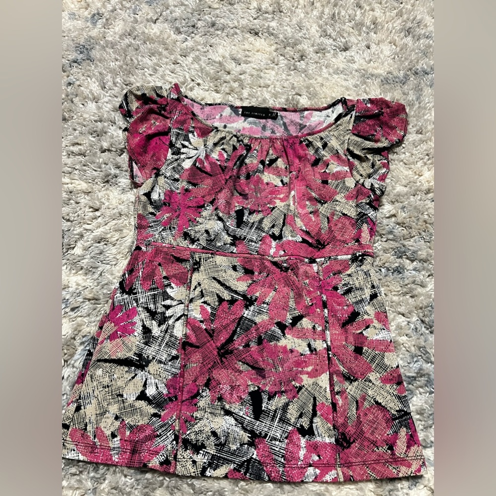The Limited Dressy top